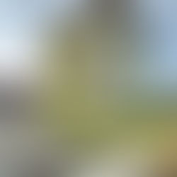 非公開物件 専任 一棟マンション (収益物件) 売出中