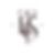 rosita - logo - shopify.png