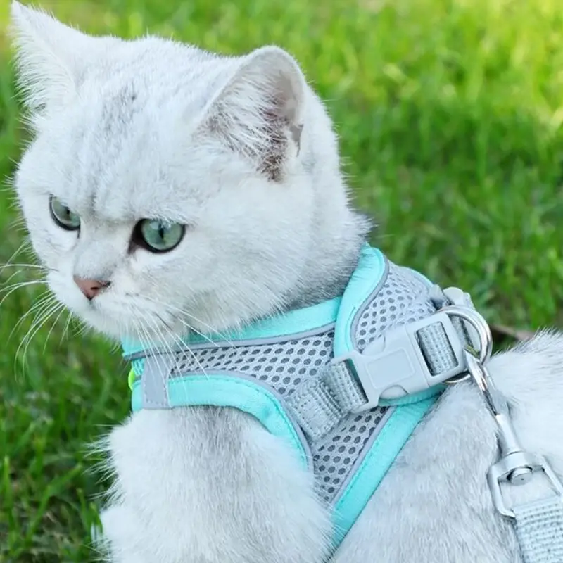 Thumbnail: Soft mesh dog chest strap, suitable for training walks, adjustable dog vest, sui