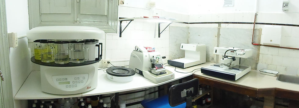 Lab. de procesamiento de muestras