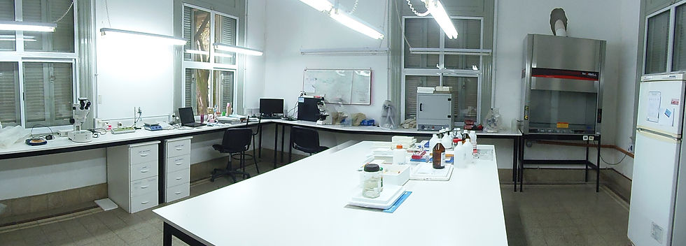 Laboratorio de Inmunohistoquímica
