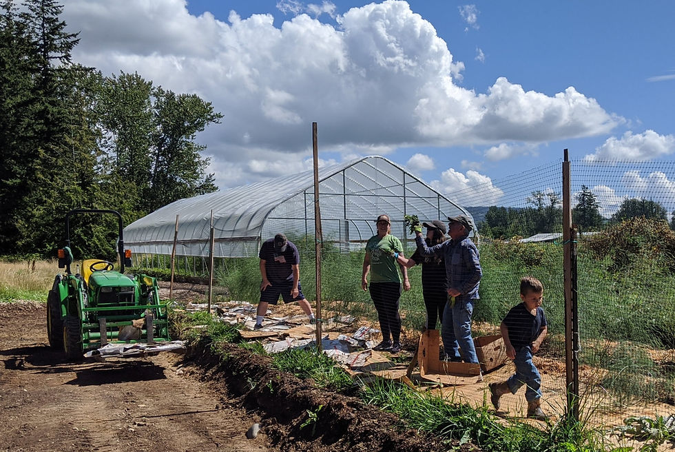 2024 Volunteer Days