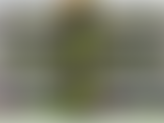 How Zebrafish Capital and Temasek Polytechnic Are Redefining Sustainable Food Parks in Cities