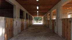 Allée de boxes