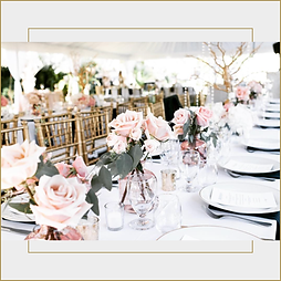 Luxury wedding catering in Miami featuring custom menus, cocktail hours, plated dinners, and exceptional guest experiences.
