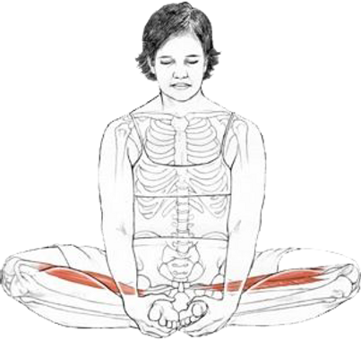 Women yoga articles