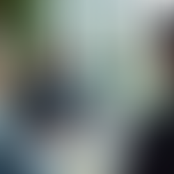 Fractional COO Services: Driving Sustainable Business Growth