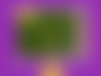 What I learnt from a Spider Web - #Lessons from Nature Travels