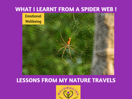 What I learnt from a Spider Web - #Lessons from Nature Travels