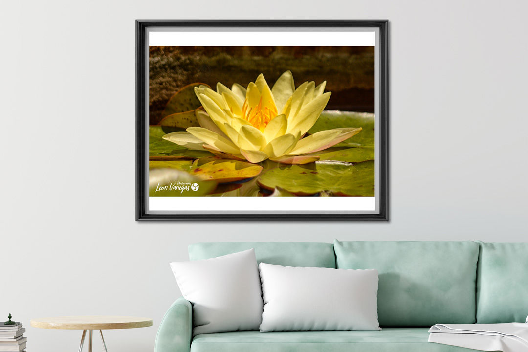 Impresión Prestige Edition de Naturaleza 20x24