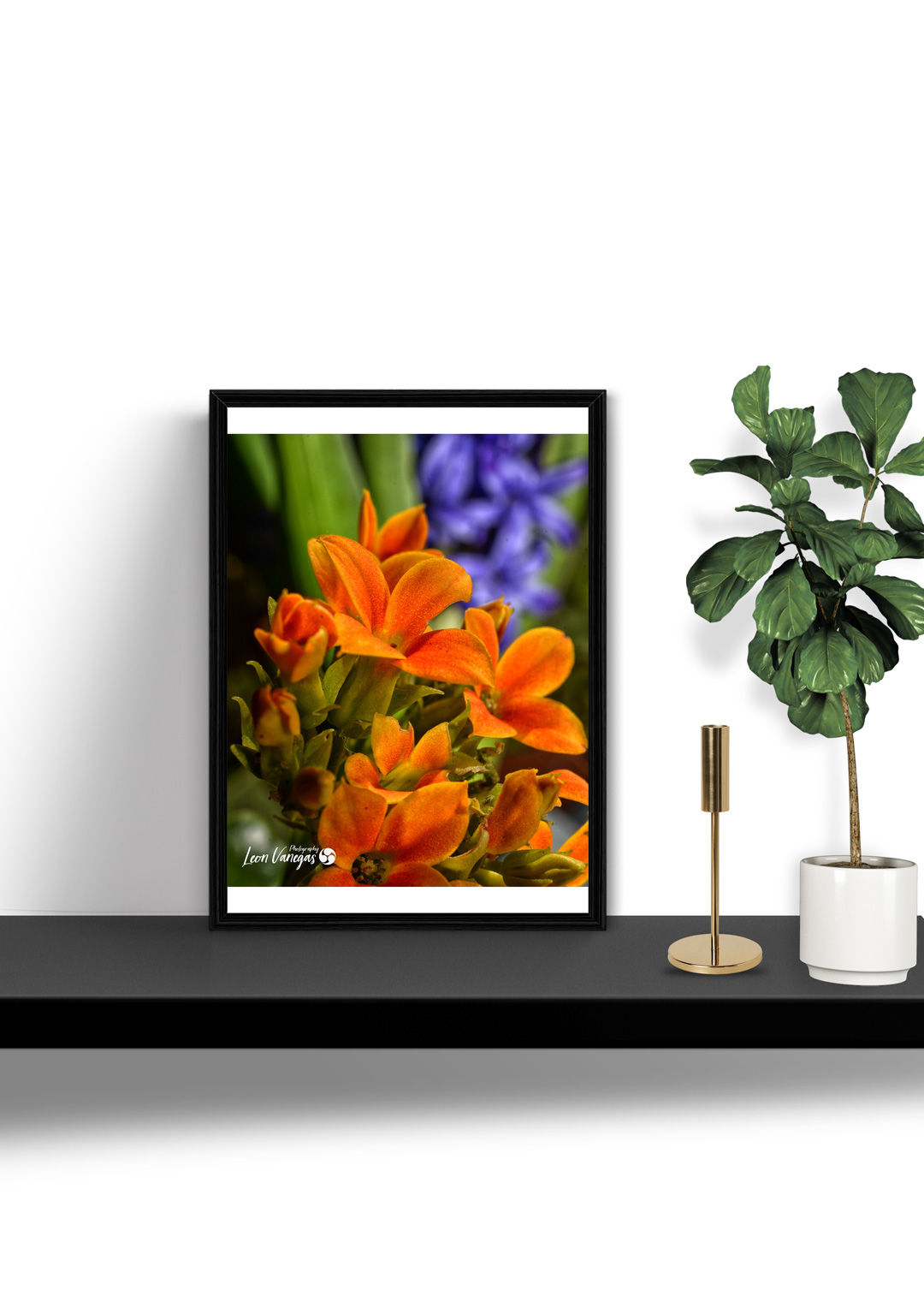 Impresión Prestige Edition de Naturaleza 16x20