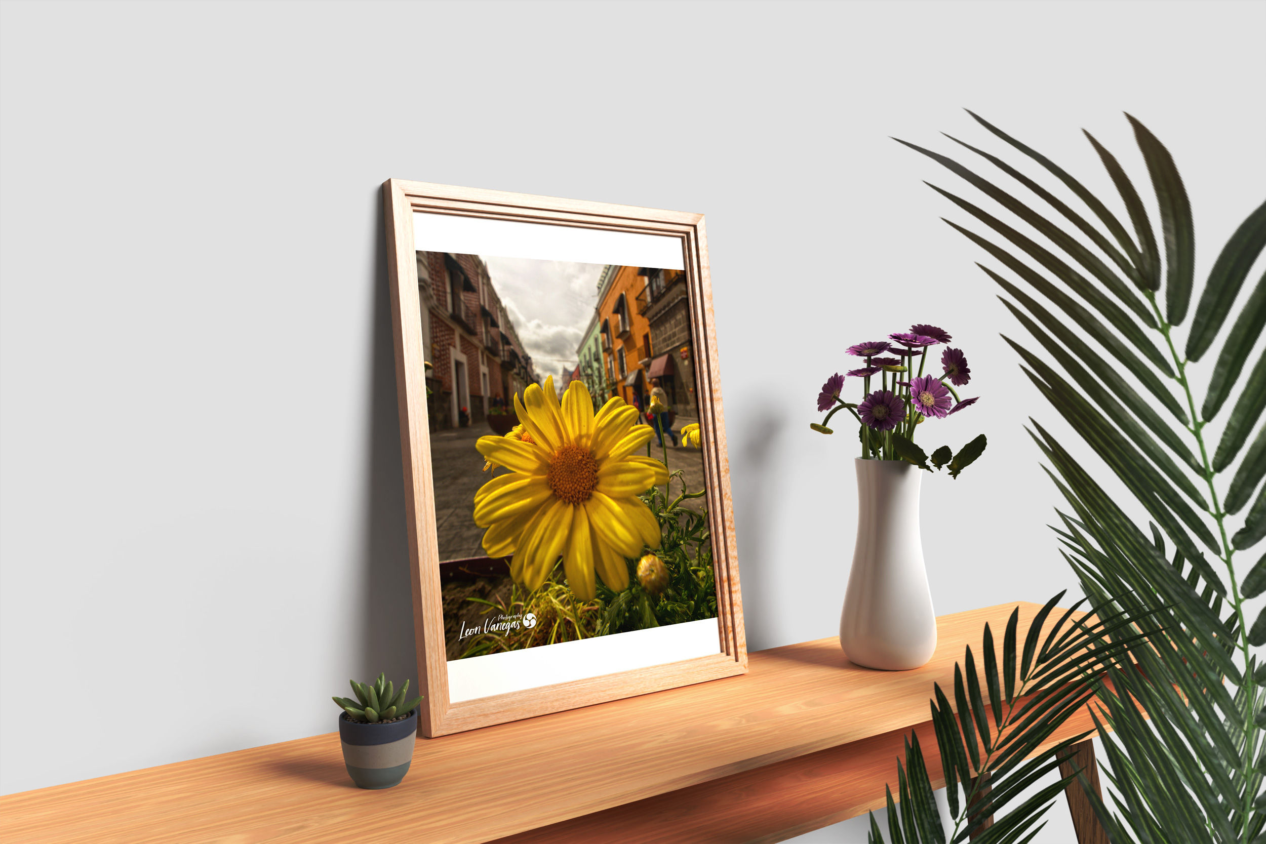 Impresión Prestige Edition de Naturaleza 11x14"