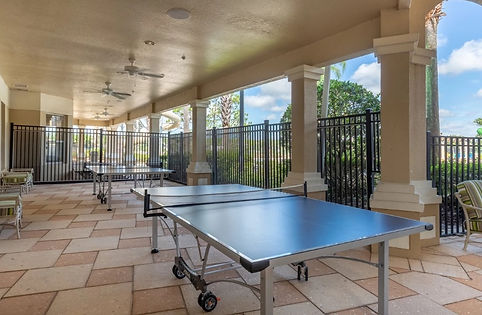 ping pong.jpeg