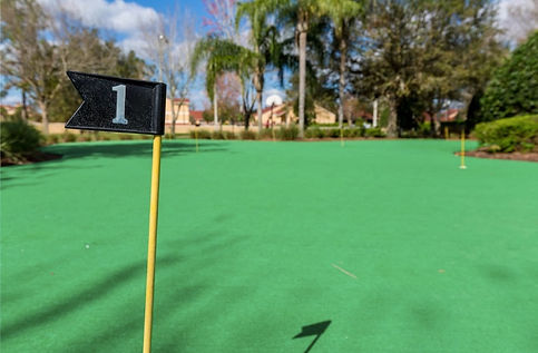 putting green 2.jpeg