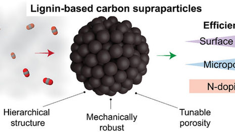 Lignin-Based Porous Supraparticles for Carbon Capture