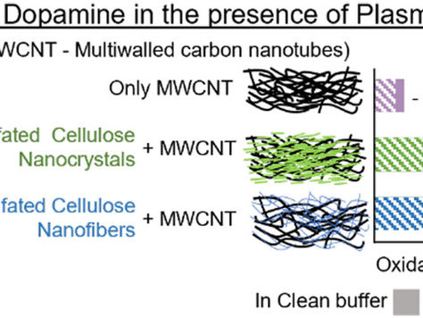 Protein Adsorption and Its Effects on Electroanalytical Performance of Nanocellulose/Carbon Nanotube Composite Electrodes