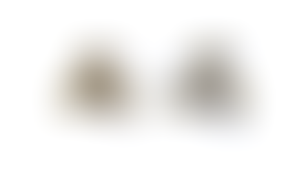 Combining scattering analysis and atomistic simulation of wood-water interactions