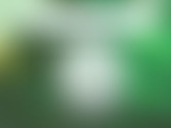 Cellulose foams as scalable templates for phase change materials