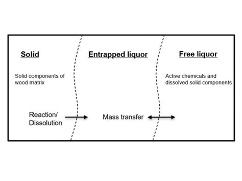 Modelling the kraft pulping process on a fibre scale by considering the intrinsic heterogeneous..