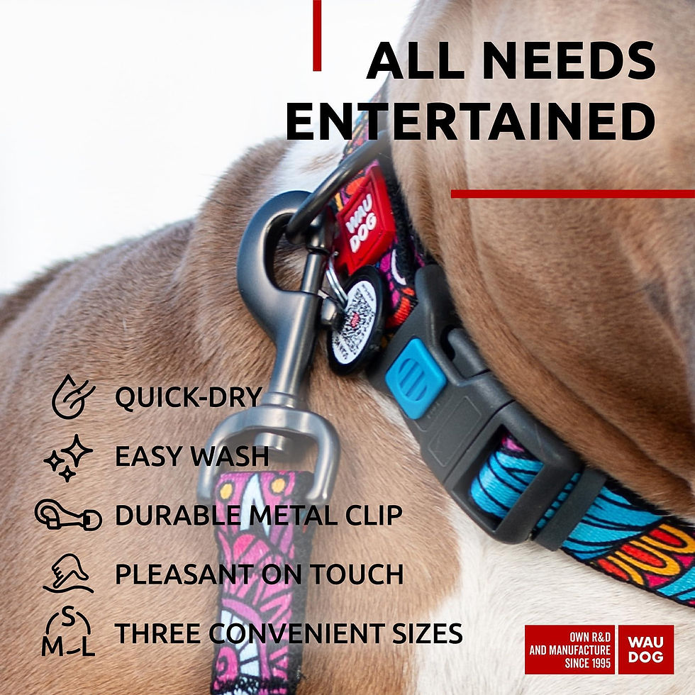 Thumbnail: Nylon Dog Leash for Medium and Large Dogs 4 Ft x 1 inch Wide Summer Color