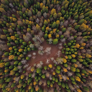 overhead view of wooded land in Missouri.jpg
