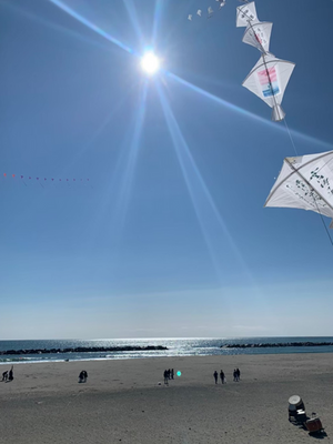 Atoa. joining an event "Emi Mau" at Arahama beach, Sendai. The purpose of this event is to clean the beach, and to pray for the repose of the souls lost in the tsunami.