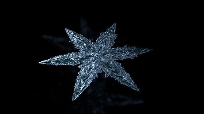 Snowflake_still_frame_render.jpg