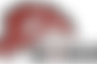 TAAIBOSCH PIGGERY PARTNERSHIP WITH GENESUS INC