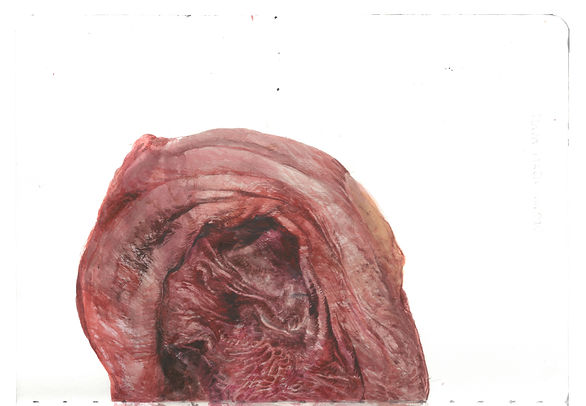 29.jpg