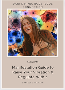 Danis Mind Body Soul Connection Manifestation Workbook