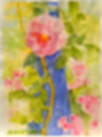 Climbing Roses