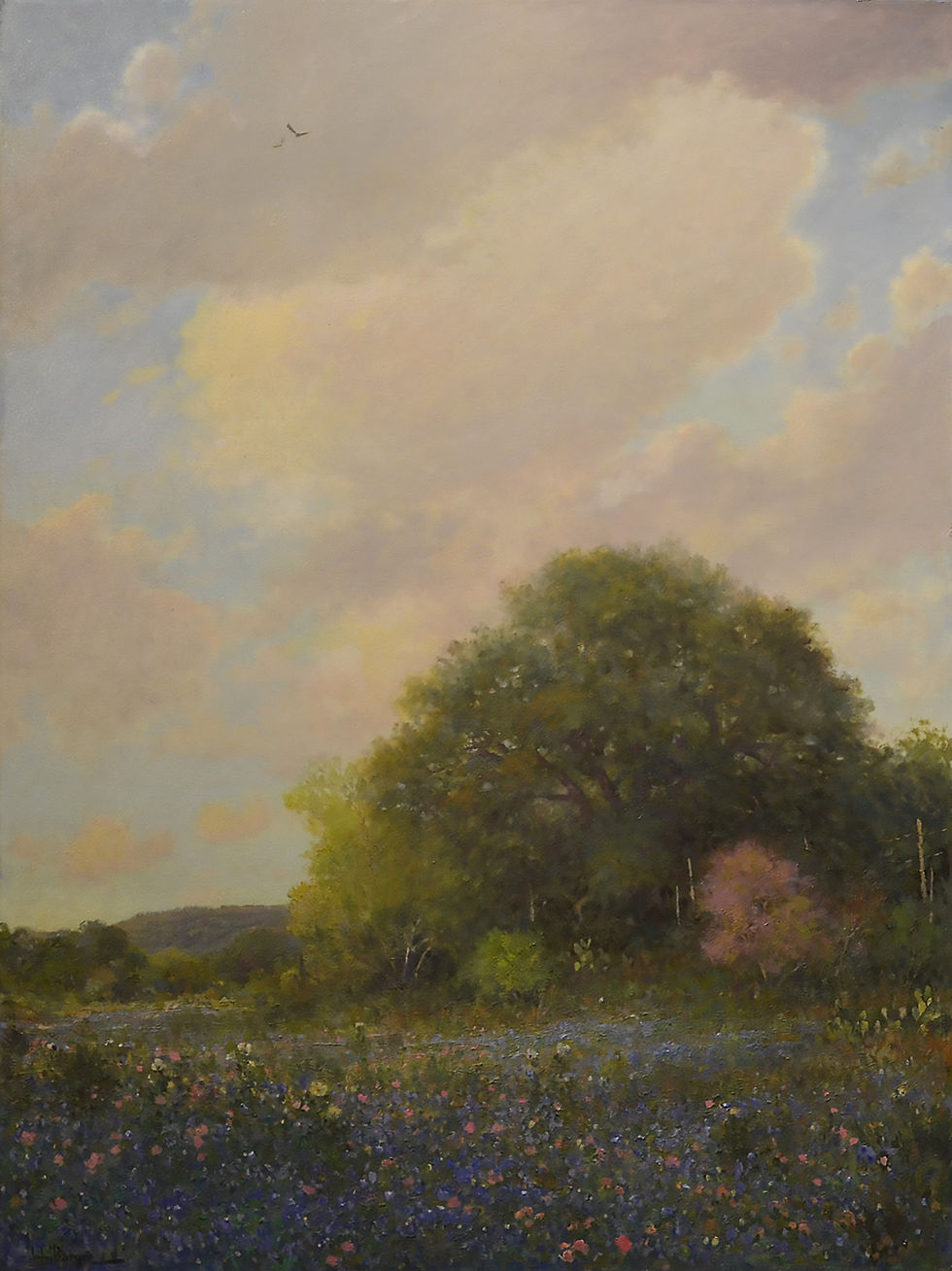 Spring Meadow