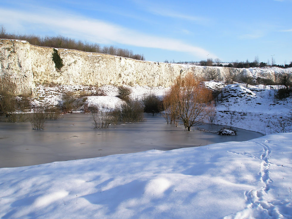 MNR Winter Pix 22012013 (2)080%.JPG