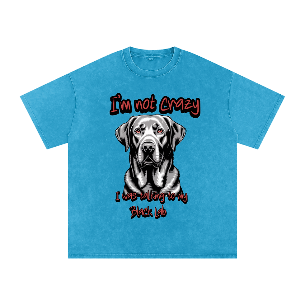 Thumbnail: Snow Washed Oversized Cotton T-Shirt