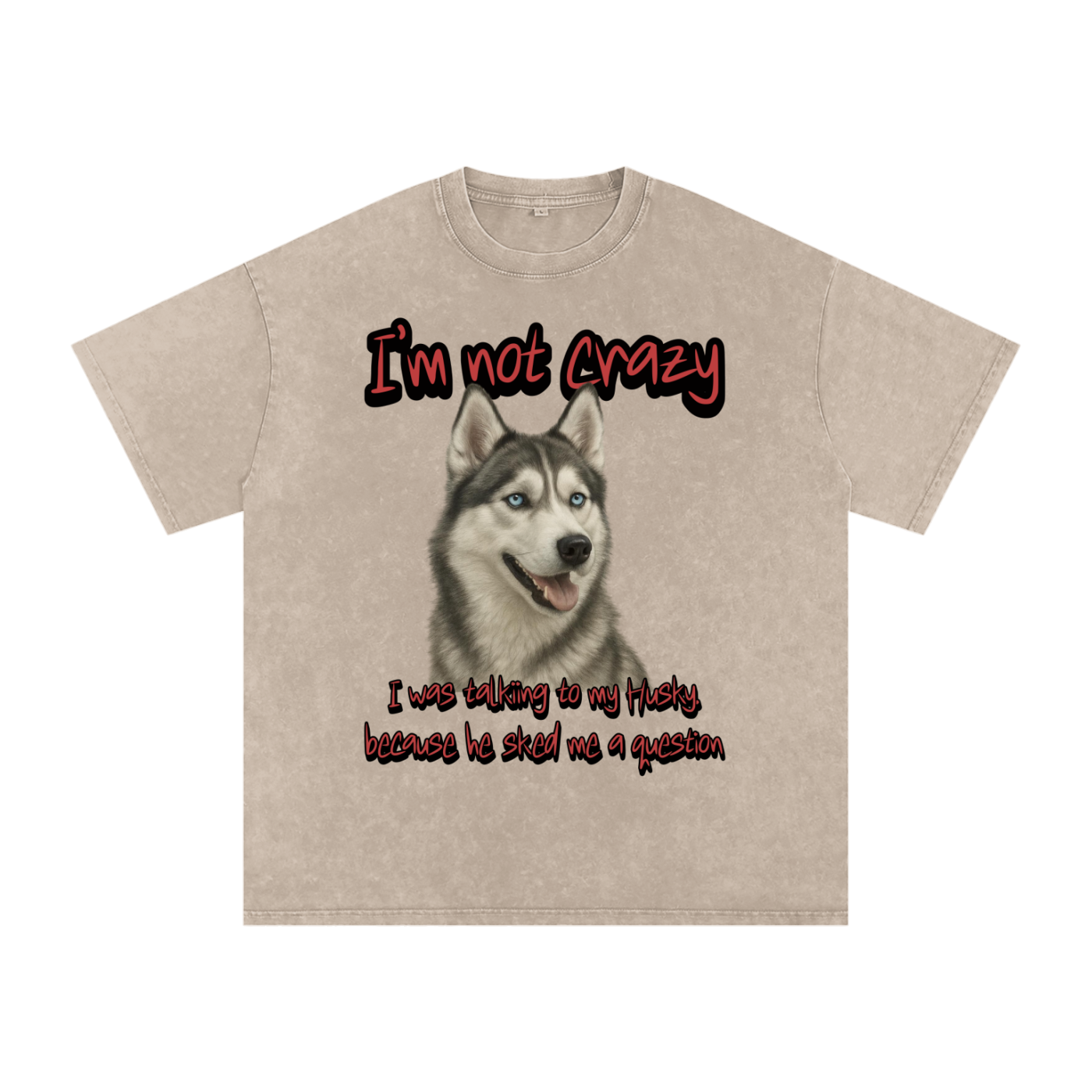 Snow Washed Oversized Cotton T-Shirt