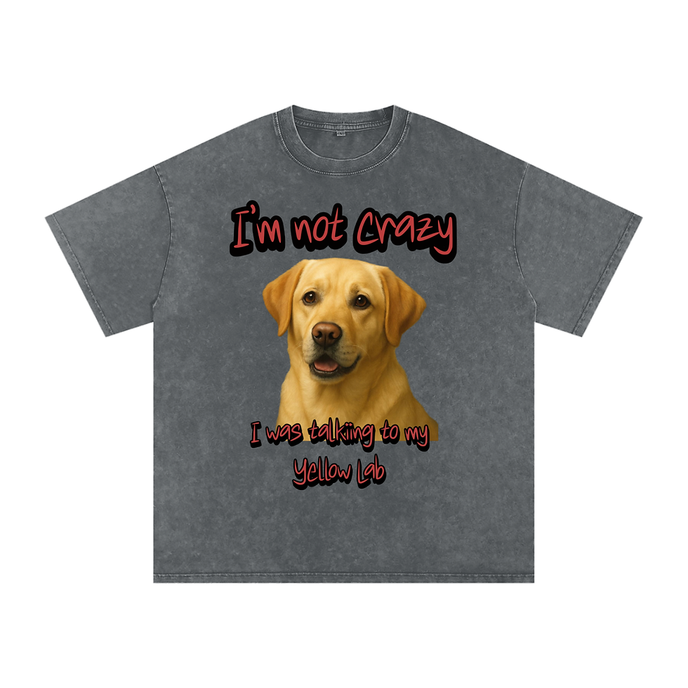 Thumbnail: Snow Washed Oversized Cotton T-Shirt