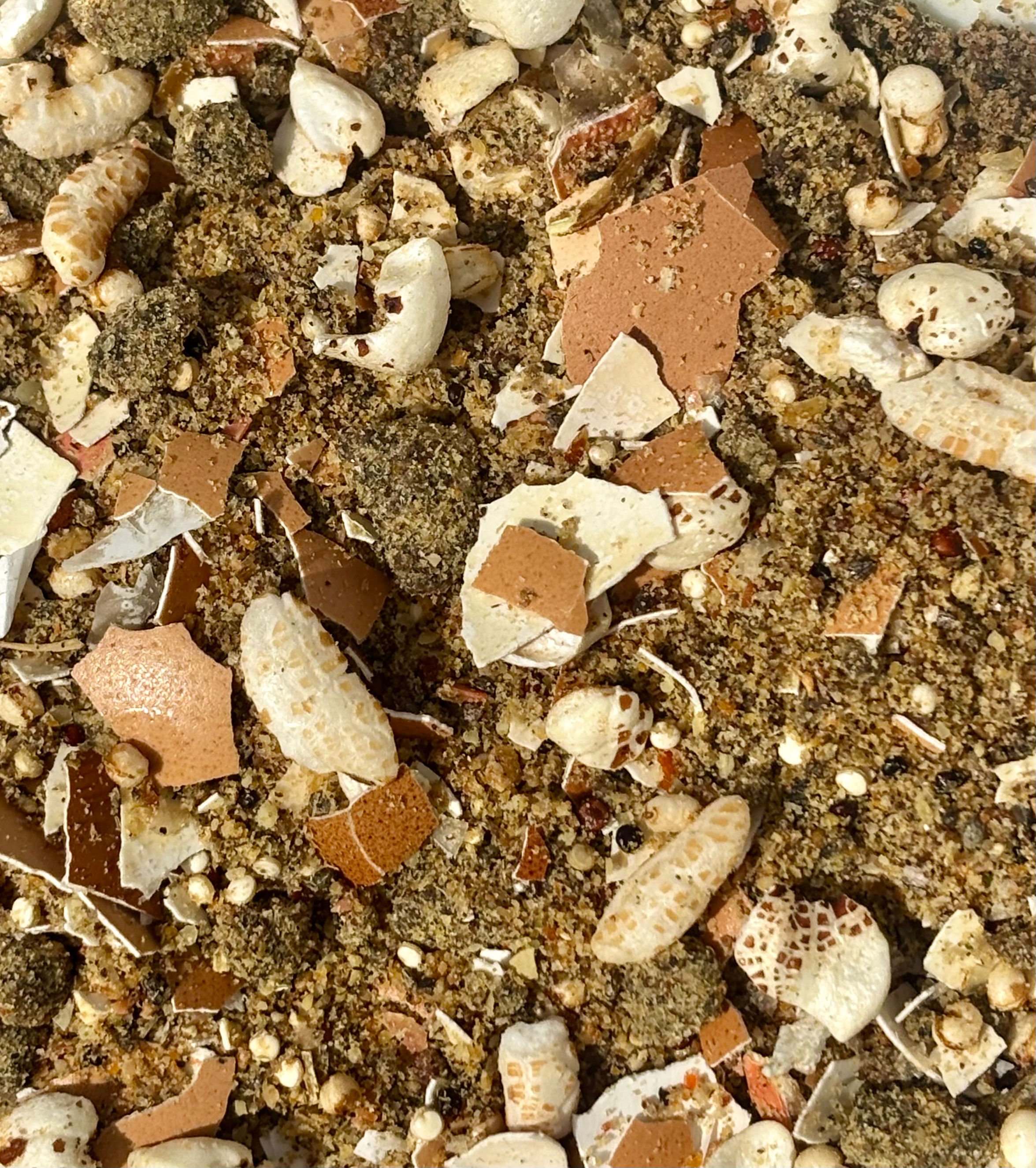 Crabby platter