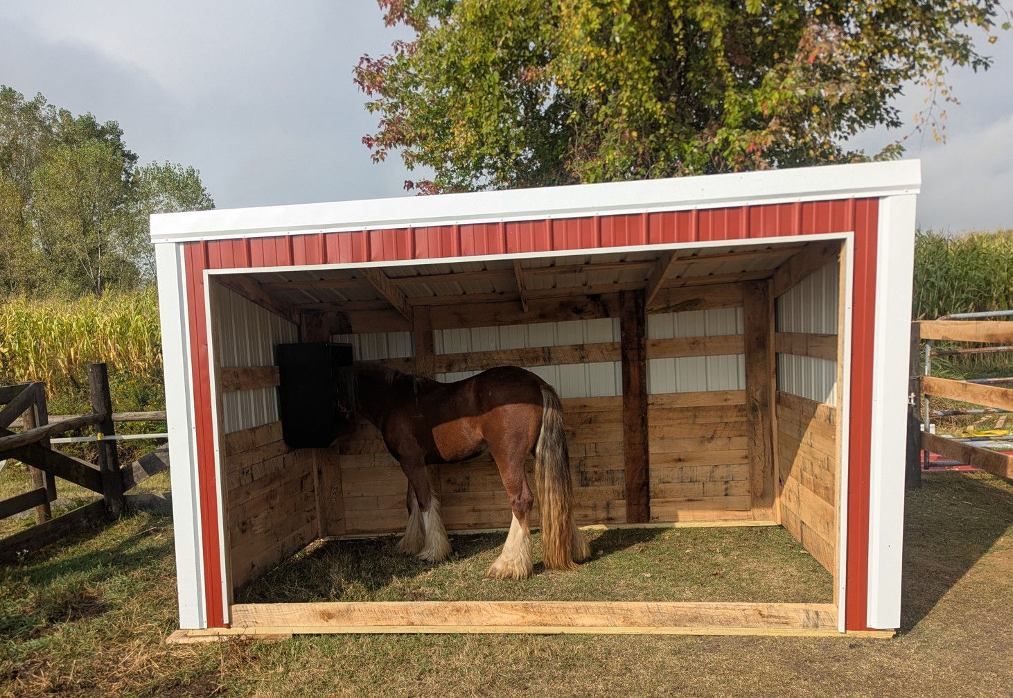 Outbuilding: 12x8ft, 7ft Tall w/ 4ft Kickboards