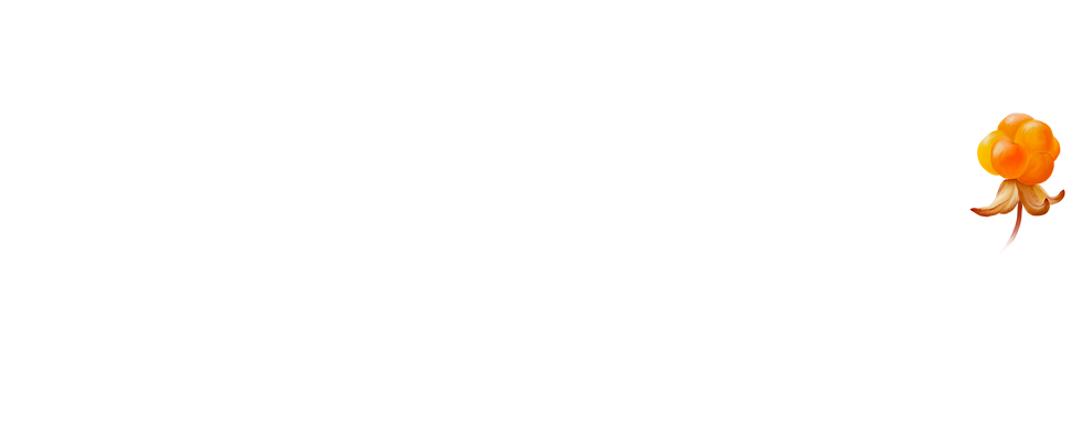 Cloudberry logo that takes to the cloudberry website