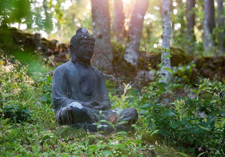 Toppbild Buddha-e2.jpg