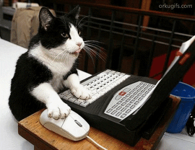gatinho-usando-computador_4114.gif