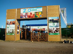 fotos+079.jpg