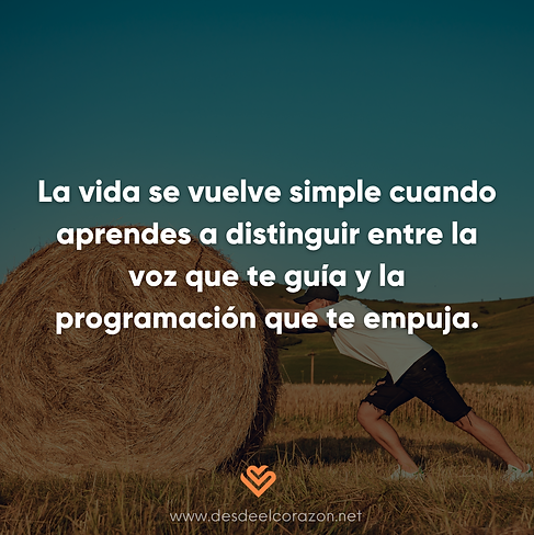 NUEVAS FRASES-33.png