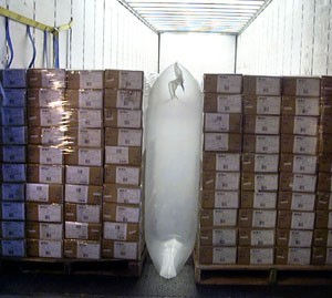 TRAILER DUNNAGE BAGS.jpg