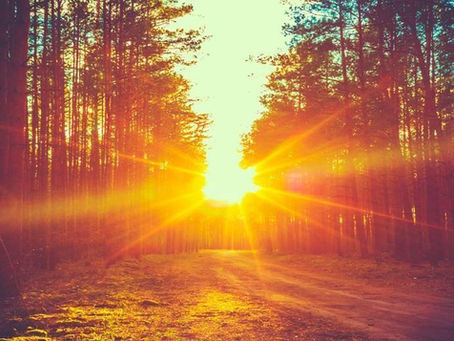 The Gift of Self-Awareness