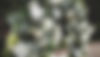 S__32571408.jpg