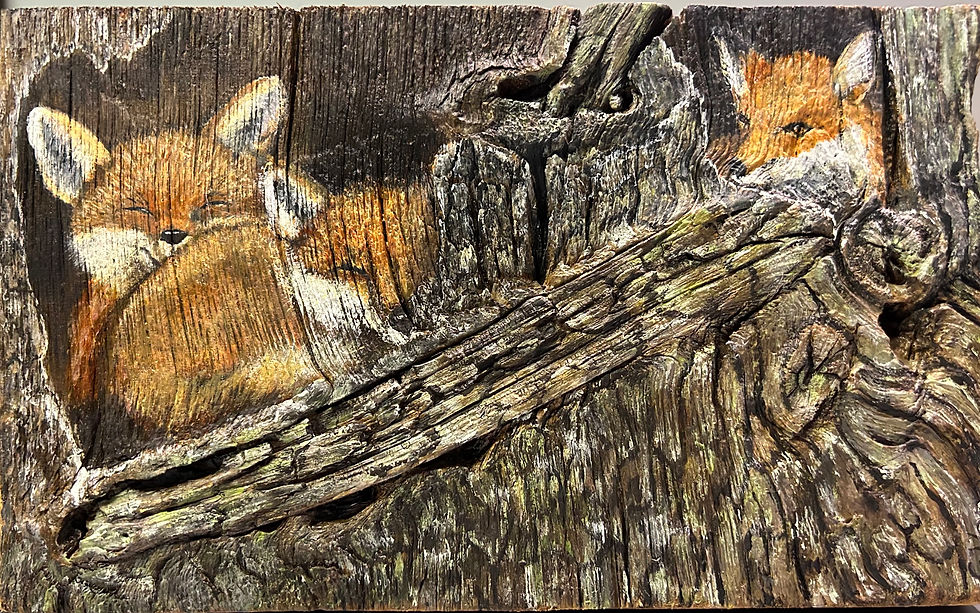 Baby Foxes - $70