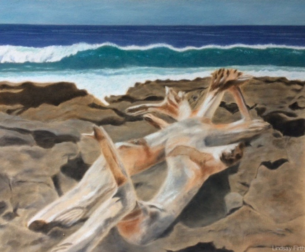Driftwood on the Rocks - $100