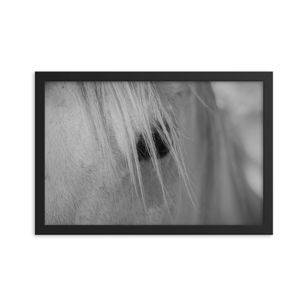 Horse Eye - Framed Matte Poster Print