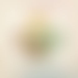 Return to balance - Essential Oils for Emotional Balance and Grounding Techniques in Module One